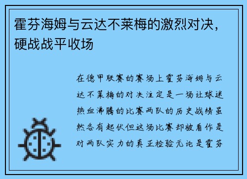 霍芬海姆与云达不莱梅的激烈对决，硬战战平收场